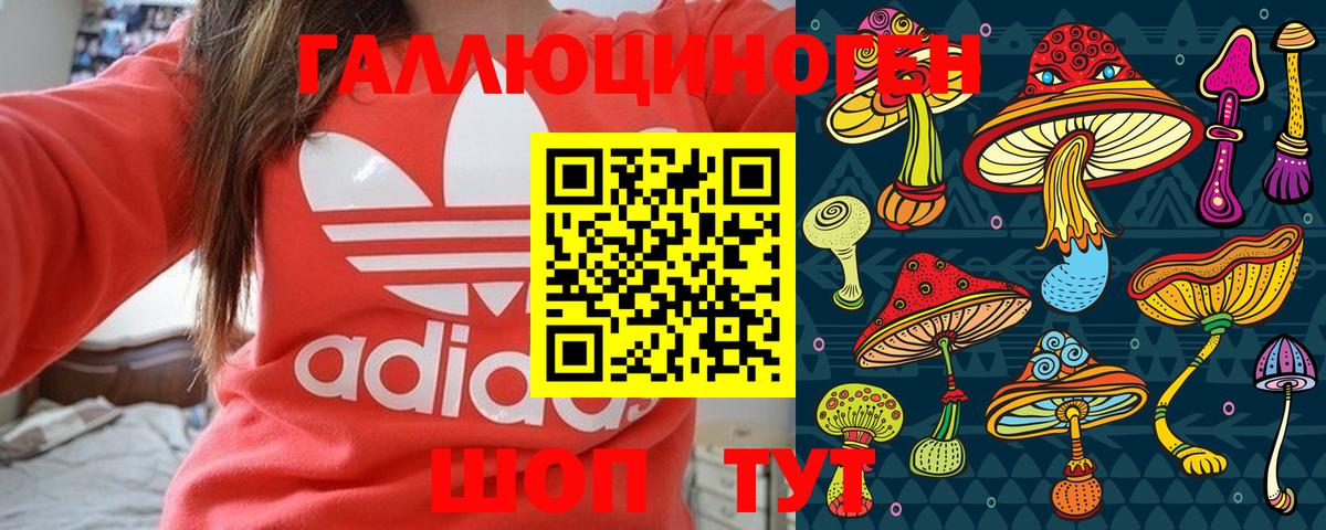 Псилоцибиновые грибы Psilocybe Белгород