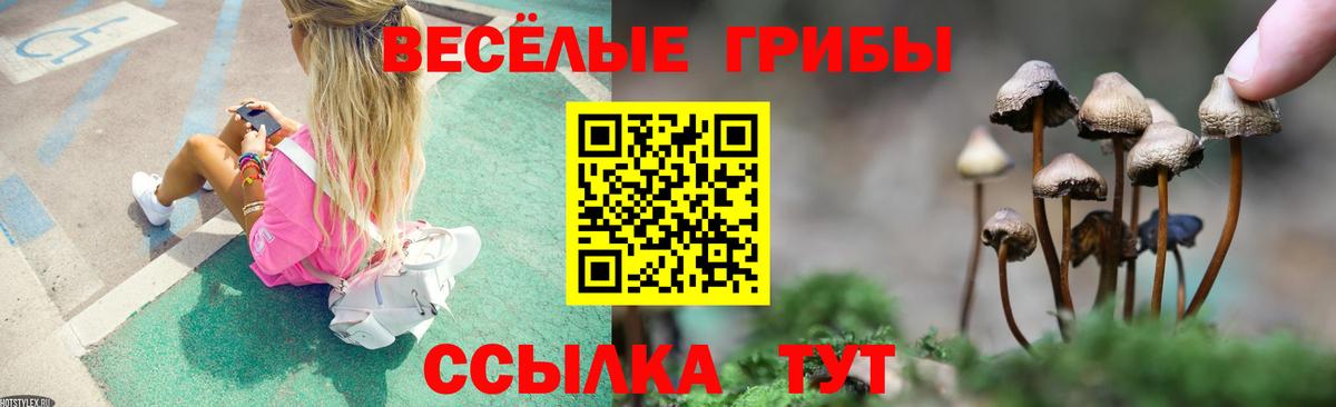 Галлюциногенные грибы MAGIC MUSHROOMS  Вход с VPN  Белгород  Псилоцибиновые грибы MAGIC MUSHROOMS 
